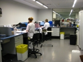 HUMT Microbiology department
